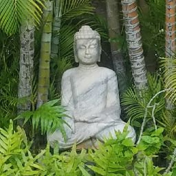 Meet your Posher, Rachel - Picture 1 of 1